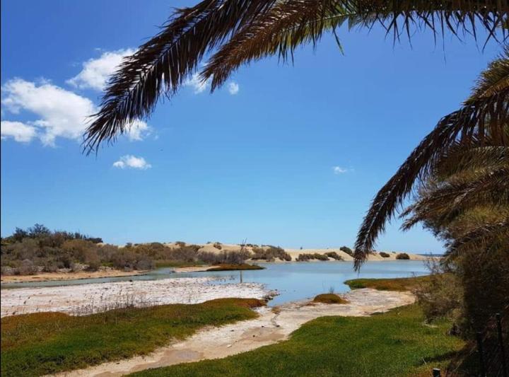 Bungalow Tropical Con Piscina Y Aire Acondicionado ماسبالوماس المظهر الخارجي الصورة