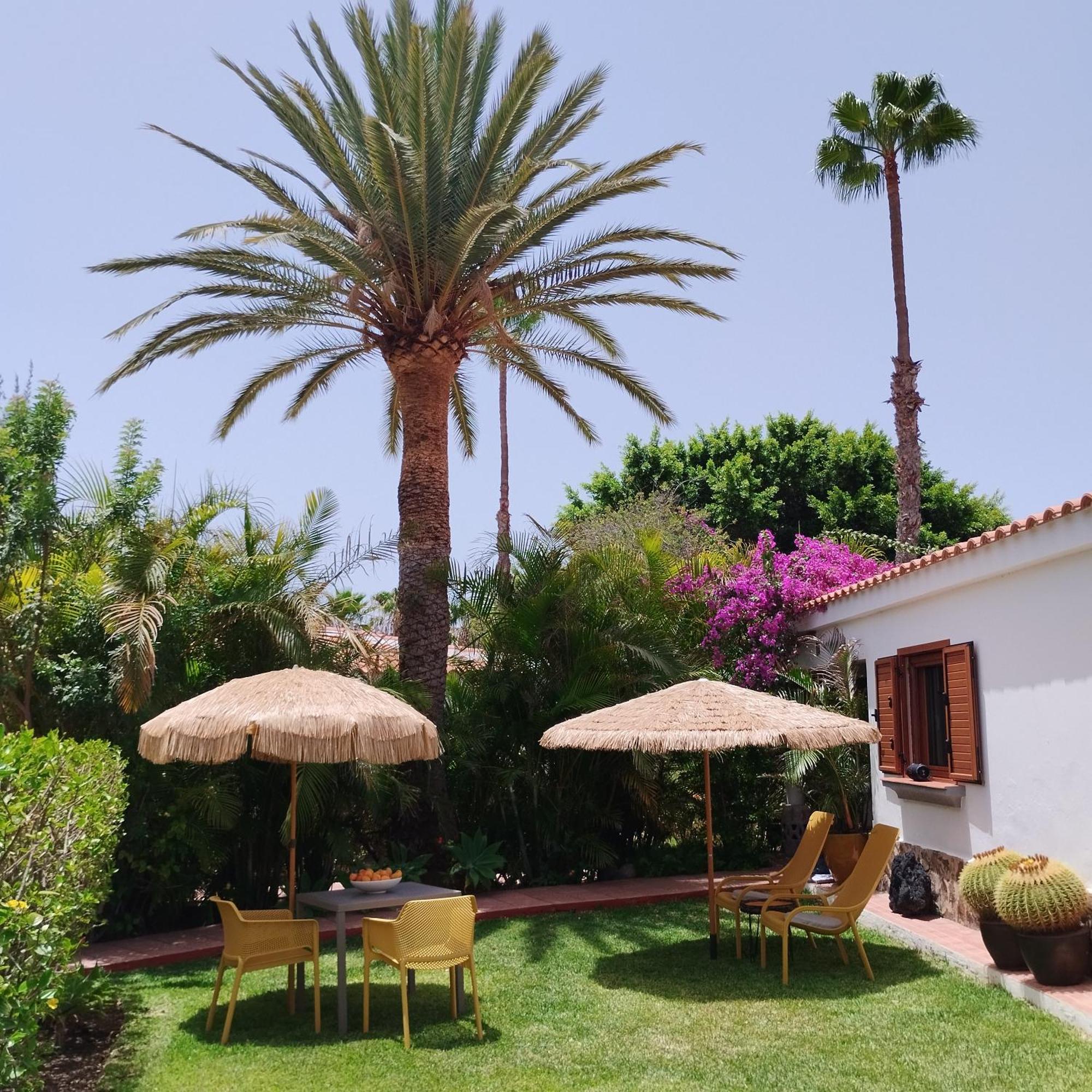 Bungalow Tropical Con Piscina Y Aire Acondicionado ماسبالوماس المظهر الخارجي الصورة