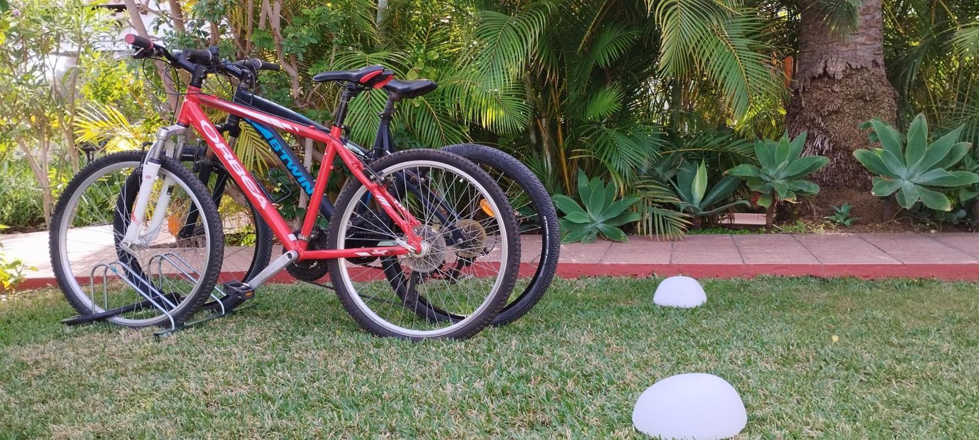 Bungalow Tropical Con Piscina Y Aire Acondicionado ماسبالوماس المظهر الخارجي الصورة